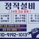 보우근화 이미지