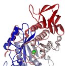 효소[酵素] Enzyme 이미지