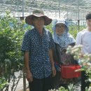 박경자농장 이미지