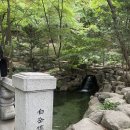 관람 이미지