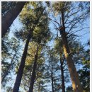 법기수원지 | 조용히 쉬고 싶을 때 딱! 법기수원지 솔직 후기