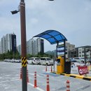 정관 구목정공원 | 5월 6월 정관 장미 윗골공원 구목정공원