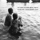 나의봄날 이미지