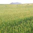 김선규농장 이미지