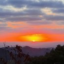 영산농장 이미지