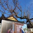 영화방앗간 이미지