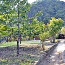 운두령산장 이미지