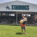 스타독스 이미지