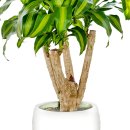 영전농장 이미지