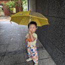 고릴라요정옆집 | 7월 3주차 기록