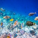 국립수산물품질관리원 인천지원 이미지