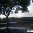 동영농장 이미지