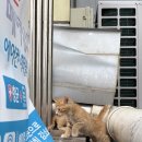 1박 2일 여수여행, 풀빌라에서 휴양(AG스파빌, 여수수산물특화시장, 향일암 드라이브)