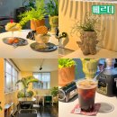 제주시 카페 노형동 베르디 플랜테리어 파르페 존맛