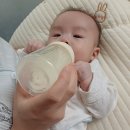 이춘봉인생치킨(부산개금점) | 주간일기) 다이소 네임스티커/개금시장 투윙닭강정/누렁누렁 베개피