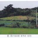 2499 이미지
