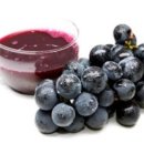 순수농장 이미지