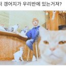 댕댕# 이미지