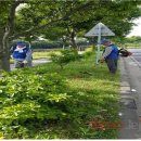 쇠소깍로 이미지