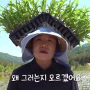서경원농장 네이버블로그