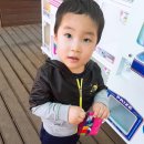 상어가족 인형뽑기 이미지