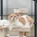 낙원 스테이 이미지