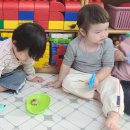 사슴벌레 이미지