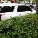 투싼 렌트중고차로 1년렌트카 계약후기