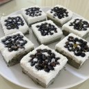 콩시루 티스토리