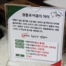 애솔촌돼지 이미지