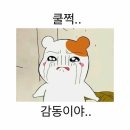 속초어시장 이미지