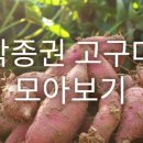 지은상점