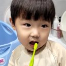 치카치카 이미지