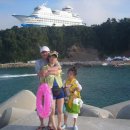 팜스프링 이미지