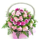 중마복지회관 이미지