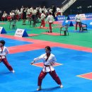 경희대도전태권도장 이미지