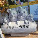 신돈값하는 국밥집 | 포항 오천맛집 신돈값하는 국밥집 몸보신 최강