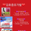 헤어.김호증모가발