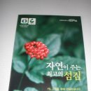 참든마을법인주