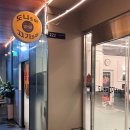 도니조아 이미지