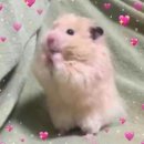 능력프라자 이미지