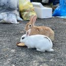 소백산식당 이미지