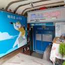 가족극페스티벌 <꾸러기만세> | 서울 종로| 2026년 제2회 북극곰 가족극 페스티벌:) 4주 차 팝업북씨어터 시골쥐의 서울구경