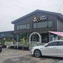 아크 플래닛 | [용인애견카페]🐶비오는날 강아지 놀이터/ 아크플래닛 방문후기