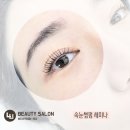 블링펫살롱 | 성남동 속눈썹펌 '포유' 후기를 보고 선택해요