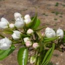 문배농장 이미지