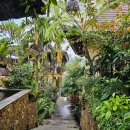 구능 | 발리 우붓 GK발리 리조트 모닝 트레킹