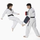 참다운태권도 이미지