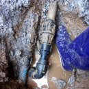 미장하나어린이집 이미지