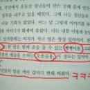 노무현의 인생 명언 이미지